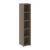 Вяз благородный