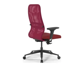 Кресло ErgoLife SynchroSit 8 B2-8D M20.B11.G19.W02 Сетка, Красный images