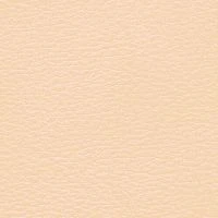 CONSUL-Rose-White-1010-Y50R